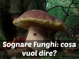 sognare-i-funghi