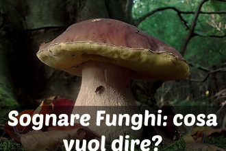 sognare-i-funghi