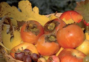 Melacaco o caco mela: tutto sul kaki, curiosità, varietà e coltivazione