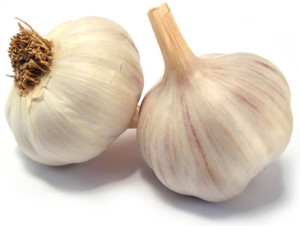 Coltivazione e semina dell'aglio