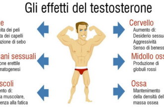 testosterone